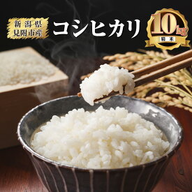 【ふるさと納税】 米 10kg 令和7年産 こしひかり 精米　せいまい 米 こめ コメ 新潟県 産 おすすめ オススメ 内山忠太郎