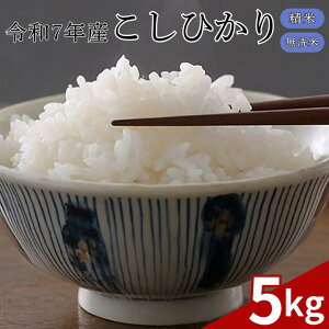 yӂ邳Ɣ[Łzߘa7NY  5kg Ђ   ނ܂   R V Y  IXX TJGER[|[V