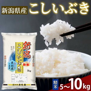 yӂ邳Ɣ[Łz  5kg 10kg ߘa7NY Ԃ  ܂   R V Y  IXX VC