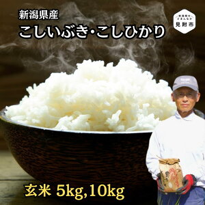 yӂ邳Ɣ[Łz Ђ Ԃ VY 5kg 10kg 