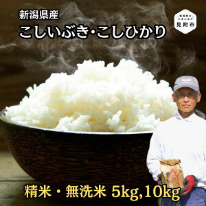 yӂ邳Ɣ[Łz Ђ Ԃ VY 5kg 10kg 