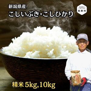 yӂ邳Ɣ[Łz Ђ Ԃ VY 5kg 10kg 