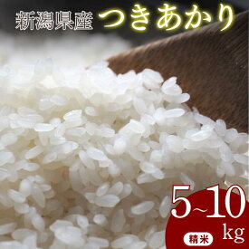 【ふるさと納税】米 5kg 10kg 新潟県産 令和7年産 つきあかり お米 精米 コスパ ごはん ブランド 品種 送料無料 新潟県 ご飯 おこめ 新潟産 新潟 見附 見附市