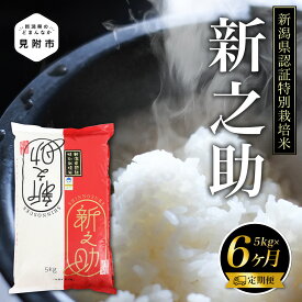 【ふるさと納税】米 30kg ( 5kg×6カ月 ）定期便 新潟 令和5年産 新之助 精米 したてを お届け 新潟 のど真ん中 見附市 こしひかりより大粒 米 お米 白米 国産 ごはん ご飯 安心安全 送料無料