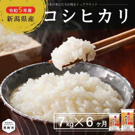 【ふるさと納税】 米 こしひかり 定期便 合計 42kg ( 7kg(5kg 袋+2kg袋)×6ヶ月 ) 新潟県産 コシヒカリ 精米 したてをお届け 新潟 のど真ん中 見附市 米 お米 白米 国産 ごはん ご飯 令和5年産 送料無料