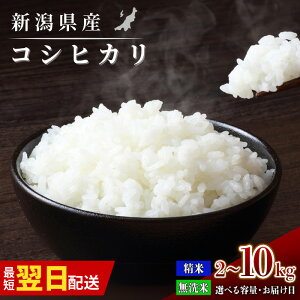 yӂ邳Ɣ[ŁzŒZz  ߘa6N 10kg 7kg 5kg 3kg 2kg      RVqJ Ђ RXp V V Iׂ  lC  R   s 6
