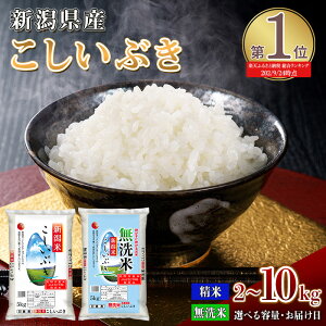 yӂ邳Ɣ[Łz ߘa6N 10kg 8kg 5kg 2kg yyVLO 1ʊl z    R V   lC  5000~ 10000~ Iׂ Ԃ 6NY Y 2024NY  