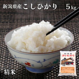 【ふるさと納税】 米 5kg 令和7年産 こしひかり 精米　せいまい 米 こめ コメ 新潟県 産 おすすめ オススメ