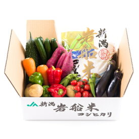 【ふるさと納税】B4026 【令和5年産米】新潟県岩船米コシヒカリと季節の野菜セット2
