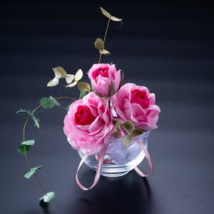 yӂ邳Ɣ[Łzy܂ʂ琶܂ԁ@܂ԁiʖFVNt[jz@܂ԃAWg@ỏ3{ƃ[J[t2{ A4217