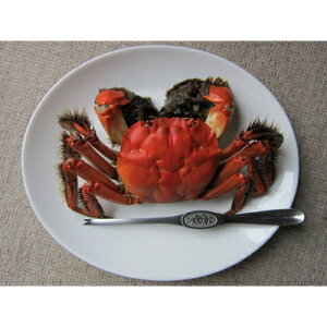 yӂ邳Ɣ[Łzy󂠂FԌzVRNYKj yTCYz 1.5kg i15C`22C IXEXj lbgɓĂ͂ sv Vst @1049002