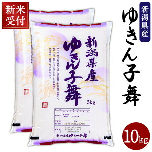 yӂ邳Ɣ[ŁzyVĎtEߘa7NYāz VsY 䂫q v 10kgi5kg×2܁j@    ͂ V s  NA4197