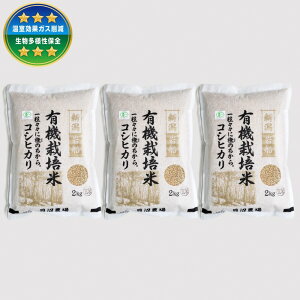 �y�ӂ邳�Ɣ[�Łz�y�ߘa7�N�Y�āz�y�I�ׂ���e�ʁz �L�@�͔|�ăR�V�q�J�� ����4kg�E6kg �@�� ���� ���� ���͂� ���� �R�V�q�J�� �I�[�K�j�b�N ������ �V���� ����s �������� 1067151 1067152