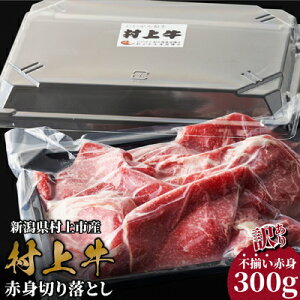 yӂ邳Ɣ[Łzy󂠂z ㋍ Ԑg؂藎Ƃ 300g 󂠂 s    Ԑg ؗ ؂藎Ƃ uh a Y Y Ⓚ ^pbN V s A4232