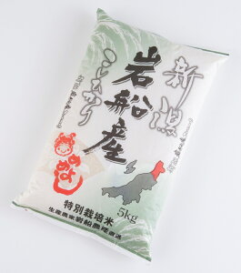 yӂ邳Ɣ[Łzyߘa7NYāzʍ͔| VsDYRVqJ5kg@   ͂  VY VY  V s  1013005