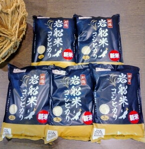 yӂ邳Ɣ[Łzyߘa7NYāzVDY RVqJ10kgZbgi2kg×5܁j 1026001