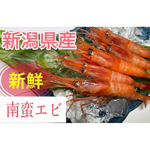 yӂ邳Ɣ[Łzy11ȍ~zu؃GriÃGrjv650g VNIkQ`I @ CV ؊CV ÊCV CN  bk Yn Ⓚ  V s 