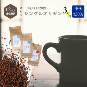 【ふるさと納税】【定期便】【選べるコース】シングルオリジンコーヒー100g × 3品種(中挽き)計300g×3ヶ月・6ヶ月・12ヶ月 |  オリジナルブレンド 自家焙煎 珈琲 コーヒー豆 珈琲豆 ブラ