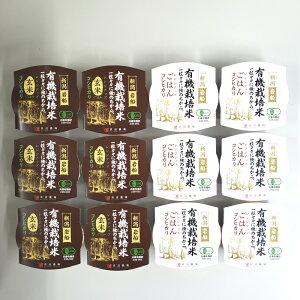 yӂ邳Ɣ[ŁzL@RVqJăpbN͂(150g×6)+ăpbN͂(150g×6)Zbg@I[KjbN@     ͂  pbNCX pbN pbN͂ RV