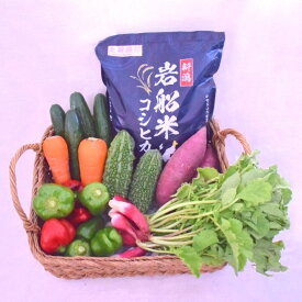 【ふるさと納税】【令和7年産米】新潟県岩船米コシヒカリ2kgと季節の野菜セット1　お米 白米 ご飯 ごはん 調味料 産地直送 村上市 A4031