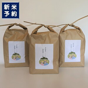 yӂ邳Ɣ[ŁzyVĎtEߘa7NYāzyʌzVDY Ђ CŶ  2kg×3 v6kg@    ͂ RVqJ VY Y  V 