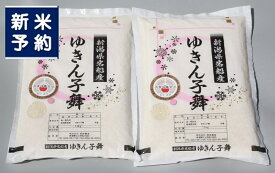 【ふるさと納税】【新米受付・令和7年産米】大粒でしっかり食感 新潟県村上市岩船産 ゆきん子舞 3kg（1.5kg×2袋） 1039042N　白米 新潟 岩船 ゆきん子舞 一等米 農家直送 あっさり 低温倉庫保管 新耕農産