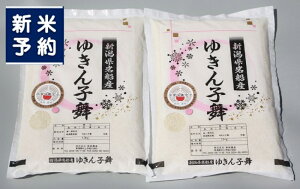 yӂ邳Ɣ[ŁzyVĎtEߘa7NYāz嗱łH VsDY 䂫q 3kgi1.5kg×2܁j 1039042N@ V D 䂫q ꓙ _ƒ  ቷqɕۊ