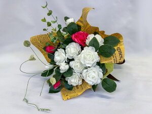 yӂ邳Ɣ[Łzyʌzu܂ʂ琶܂ԁ@܂ԁiʖFVNt[jv܂ԃMtg@LÕu[P @ ܂ VN AWg   CeA  