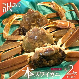 �y�ӂ邳�Ɣ[�Łz�y���ʁE���Ԍ���z�y�󂠂�z�V��������s�Q�����`�Y�@�{�Y���C�K�j�@��2kg�i2�`6�����j 1079001