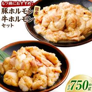 yӂ邳Ɣ[Łzyʌz ɂ߁I Y؃zijƍYzZbg 750g 5`6lO 1082001