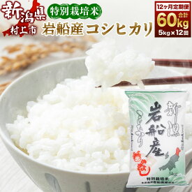 【ふるさと納税】 ＜12ヶ月 定期便＞【令和5年産米】特別栽培米 新潟県 岩船産 コシヒカリ 合計 60kg （5kg×12ヶ月コース）お米 精米 白米 ご飯 ごはん 新潟県 村上市 E4027