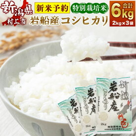 【ふるさと納税】【新米受付・令和6年産米】特別栽培米 新潟県 岩船産 コシヒカリ 6kg 合計 6kg 2kg×3袋 米 精米 白米 ご飯 ごはん 新潟県 村上市 NA4102