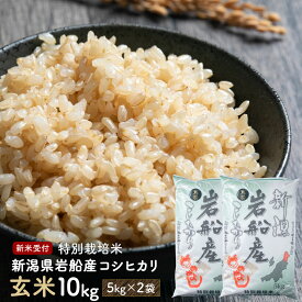 【ふるさと納税】【新米受付・令和8年産米】 特別栽培米 新潟県村上市岩船産 コシヒカリ 玄米 合計 10kg 5kg×2袋 お米 ご飯 ごはん 村上市 NAB4019