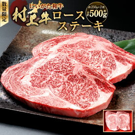 【ふるさと納税】【数量限定】村上牛 ロースステーキ 約500g（約250g×2枚）肉 ステーキ 牛肉 和牛 にいがた和牛 黒毛和牛 ブランド 人気 高級 贅沢 お取り寄せ ギフト 贈り物 贈答用 冷凍 国産 新潟県 村上市 送料無料 1091003