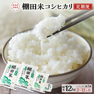 yӂ邳Ɣ[Łzyߘa7NYāzyցzy͂񐔂IׂzVDY IcăRVqJ 1񂠂 12kg +pbN͂ (150g×1) 2`12 |     Ђ  