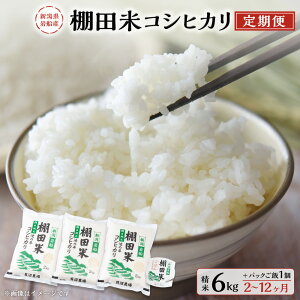 yӂ邳Ɣ[Łzyߘa7NYāzyցzy͂񐔂IׂzVDY IcăRVqJ 1񂠂 6kgi2kg×3܁j+pbN͂(150g×1) 2`12 |     Ђ