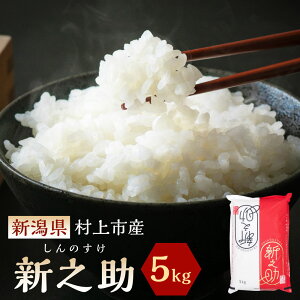 yӂ邳Ɣ[Łzyߘa6NYāzyIׂeʁzV sY VV i5kg/6kg/12kgj     ͂ ̂ 1027009 A4034 B4030