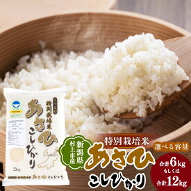 【ふるさと納税】【令和7年産米】【選べる容量】 新潟県 村上市産 特別栽培米 コシヒカリ 合計6kg（2kg×3袋） もしくは 合計12kg （5kg×2袋・2kg） お米 精米 白米 ご飯 ごはん A4033 B4029