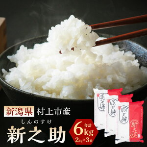 yӂ邳Ɣ[Łzyߘa6NYāzyIׂeʁzV sY VV i5kg/6kg/12kgj     ͂ ̂ 1027009 A4034 B4030