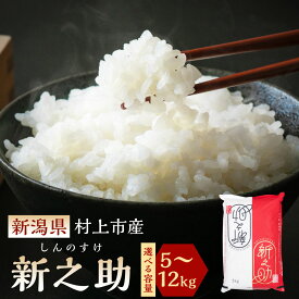 【ふるさと納税】【令和6年産米】【選べる容量】新潟県 村上市産 新之助 （5kg/6kg/12kg） お米 精米 白米 ご飯 ごはん しんのすけ 1027009 A4034 B4030
