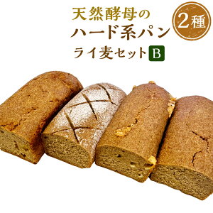 yӂ邳Ɣ[ŁzyCZbgBzC100v[Abh`F_[AG^[AA[h 1090002