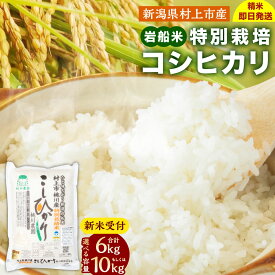 【ふるさと納税】【新米受付・令和8年産米】精米即日発送】新潟県 村上市 桃川産 特別栽培 コシヒカリ 【選べる容量】 合計 6kg もしくは 10kg 米 精米 白米 ご飯 ごはん NA4209 NAB4038