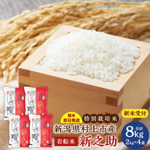 yӂ邳Ɣ[ŁzyVĎtEߘa7NYāzV s Y ʍ͔| VV v 8kg 2kg×4     ͂ V NAB4037