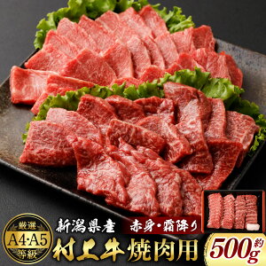 yӂ邳Ɣ[ŁzA4EA5 ㋍ ēp 500g×1pbN 2`3lO ԐgƑ~~bNX ߃Jbg YҒ ɂa Ⓚ Y V s santaӂ[ [B4001]