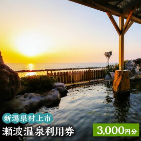 【ふるさと納税】瀬波温泉利用券 3,000円分 (1,000円×3枚) 温泉 温泉券 入浴券 チケット 観光 宿泊 ホテル お土産 新潟県 村上市 K1