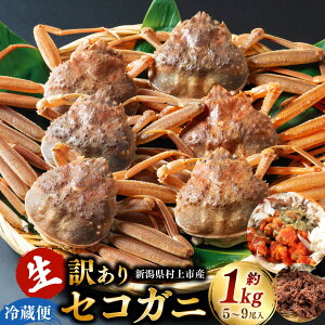 【ふるさと納税】【年明け順次発送・数量限定】<訳あり> 冷蔵便 生セコガニ 約1kg (5〜9尾入) 蟹 カニ 海鮮 魚介類 甲殻類 産地直送 クール お取り寄せ 新潟県 村上市 1079005