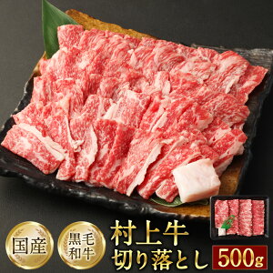yӂ邳Ɣ[ŁzǂȓɂIXXI ㋍100؂藎Ƃ500g  ؂藎Ƃ  a ɂa Ⴊ nVCX lC  ґ  ① Y V s 