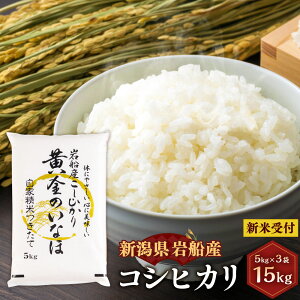 yӂ邳Ɣ[ŁzyVĎtEߘa7NYāzRLȕy V DY RVqJv 15kg 5kg×3     ͂ V s NC4023