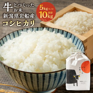 yӂ邳Ɣ[Łzyߘa7NYāzyIׂeʁz Ƃ VsDYRVqJ  5kg  10kg (5kg×2)     ͂ s V  1041001 