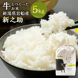 yӂ邳Ɣ[Łzyߘa7NYāzƂā@ VsDYVV@ā@5kg@̂     ͂ s V 1041002